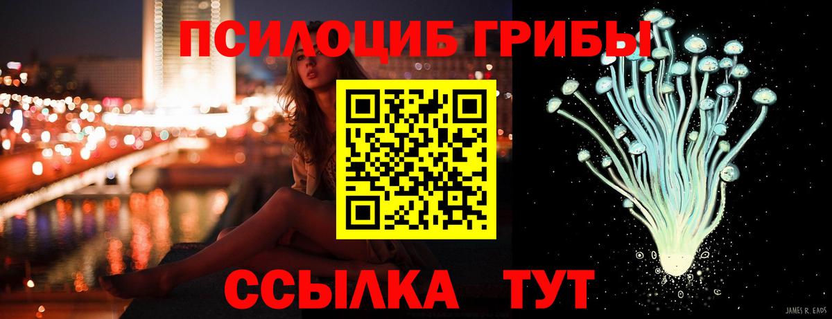 Калач-на-Дону  Галлюциногенные грибы Cubensis  хочу   Вход с VPN 